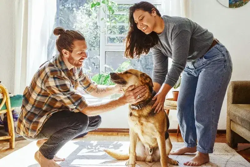 Two people petting a dog