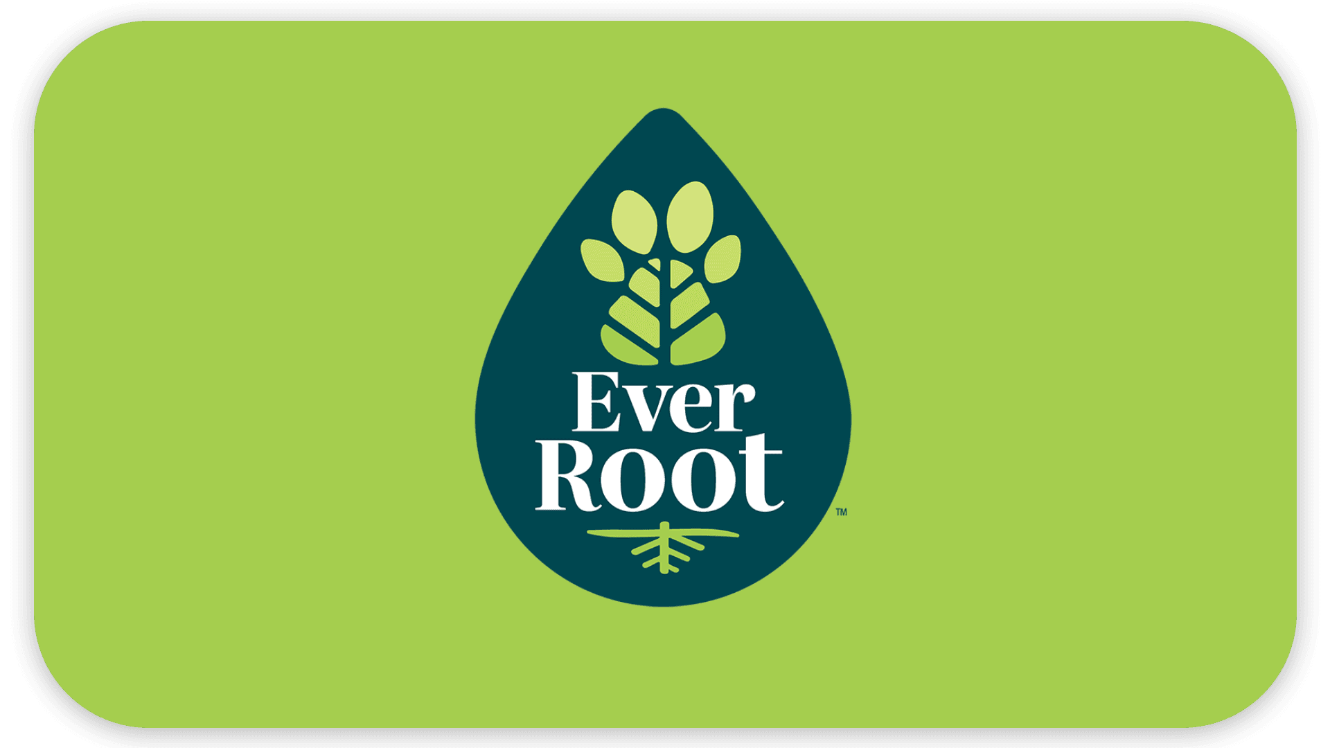 A dark green teardrop with a leaf design and the text "Ever Root" on a green background.