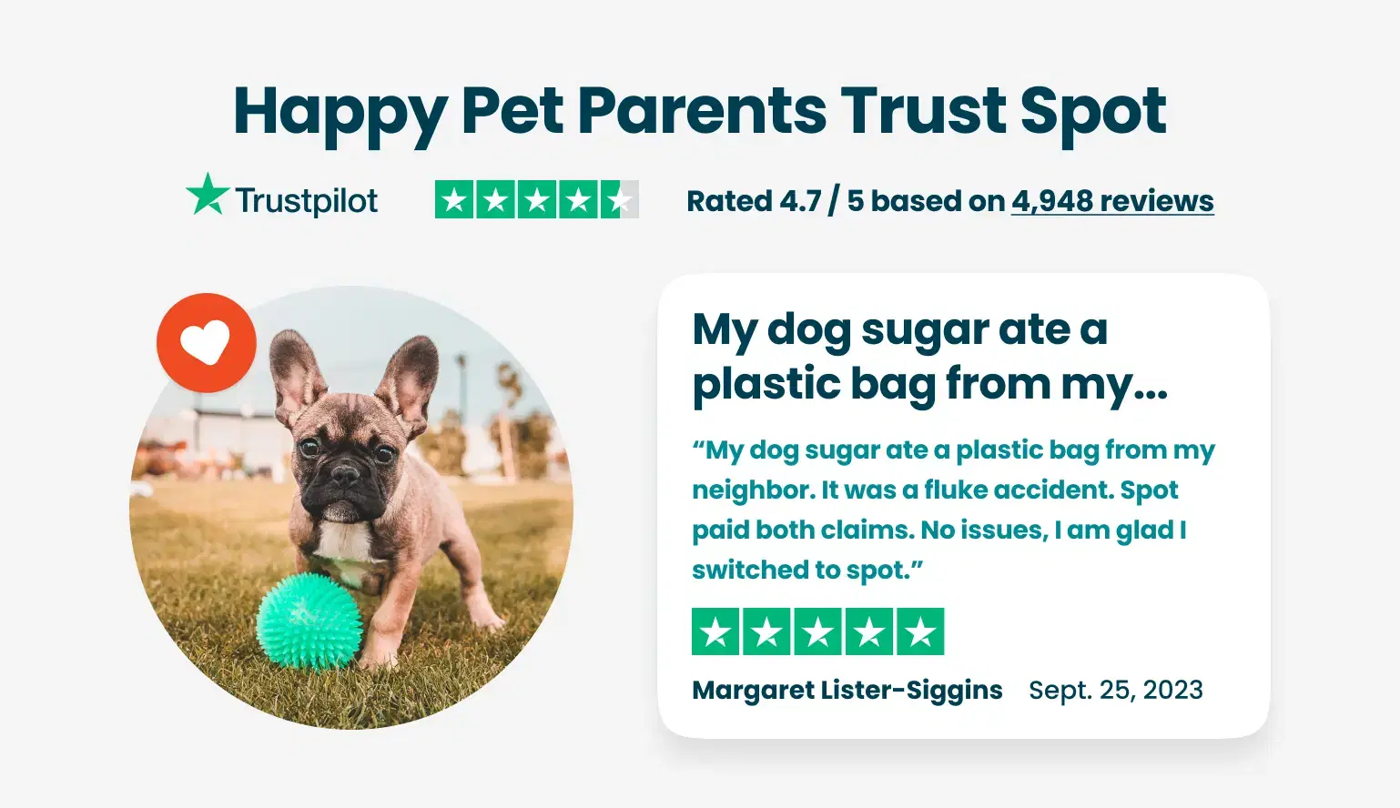 A dog plays with a green ball on grass next to a Trustpilot review.