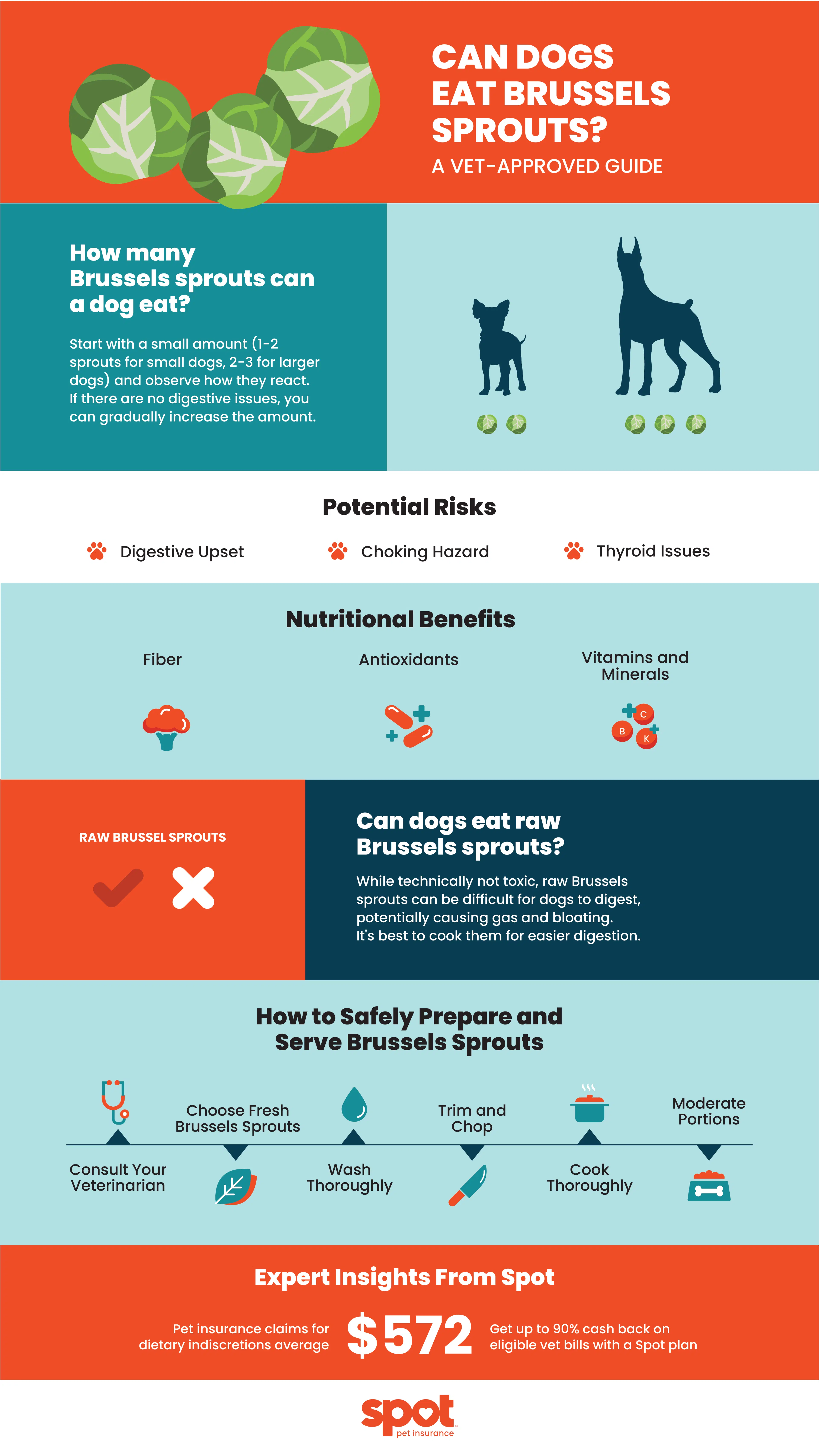 Infographic detailing if dogs can eat brussels sprouts