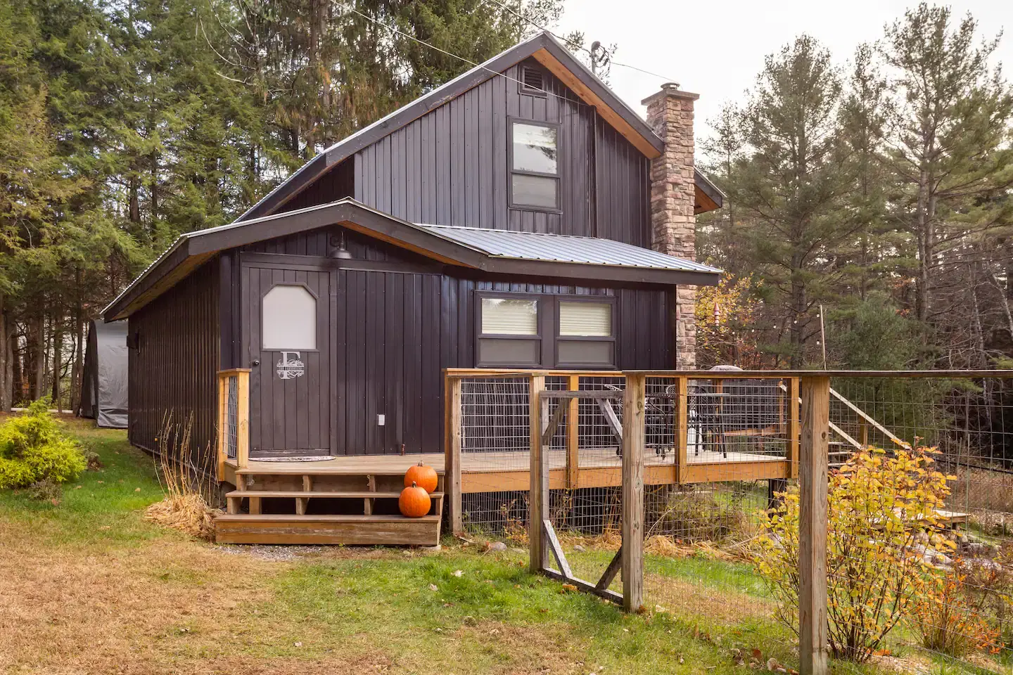 A black two-story cabin with a metal roof stands surrounded by trees.