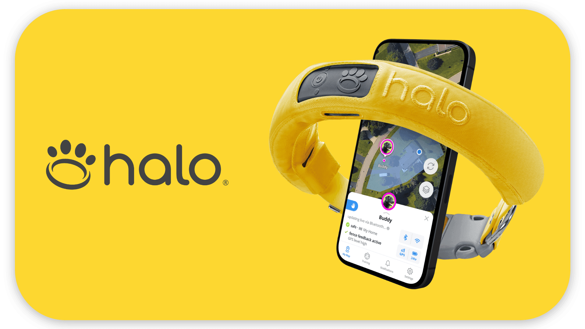 A yellow Halo dog collar is displayed with a mobile phone showing the Halo app interface on a yellow background.