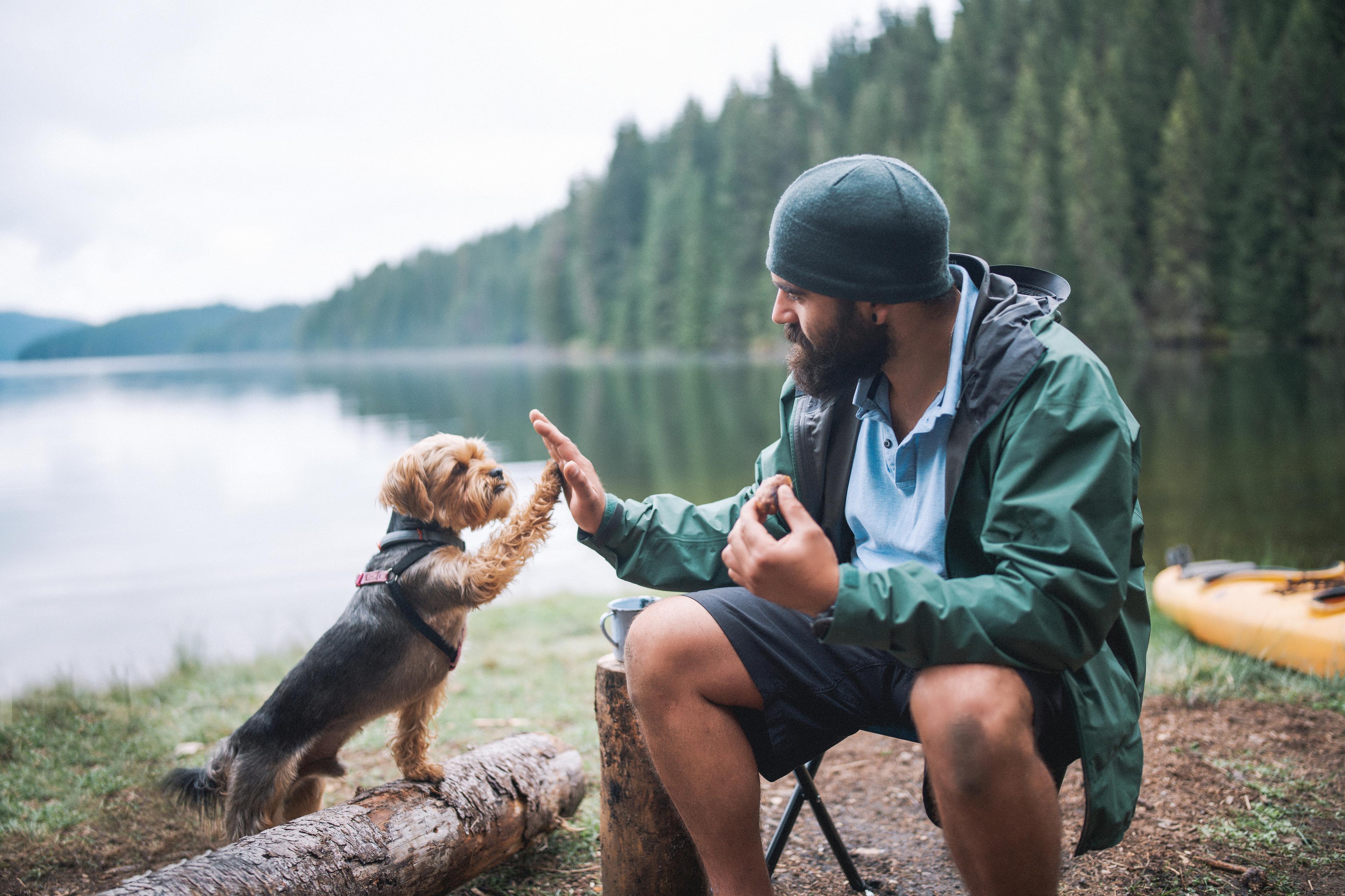 Photo detailing a man and a yorkie giving each other a high five 