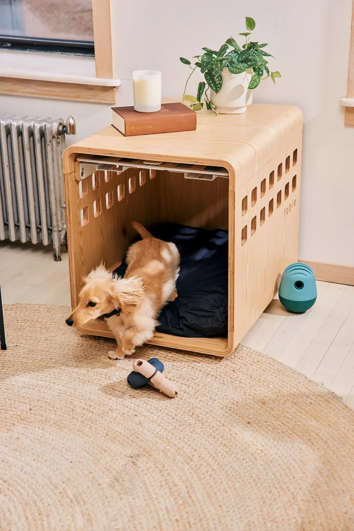 A small dog is exiting a wooden pet crate.