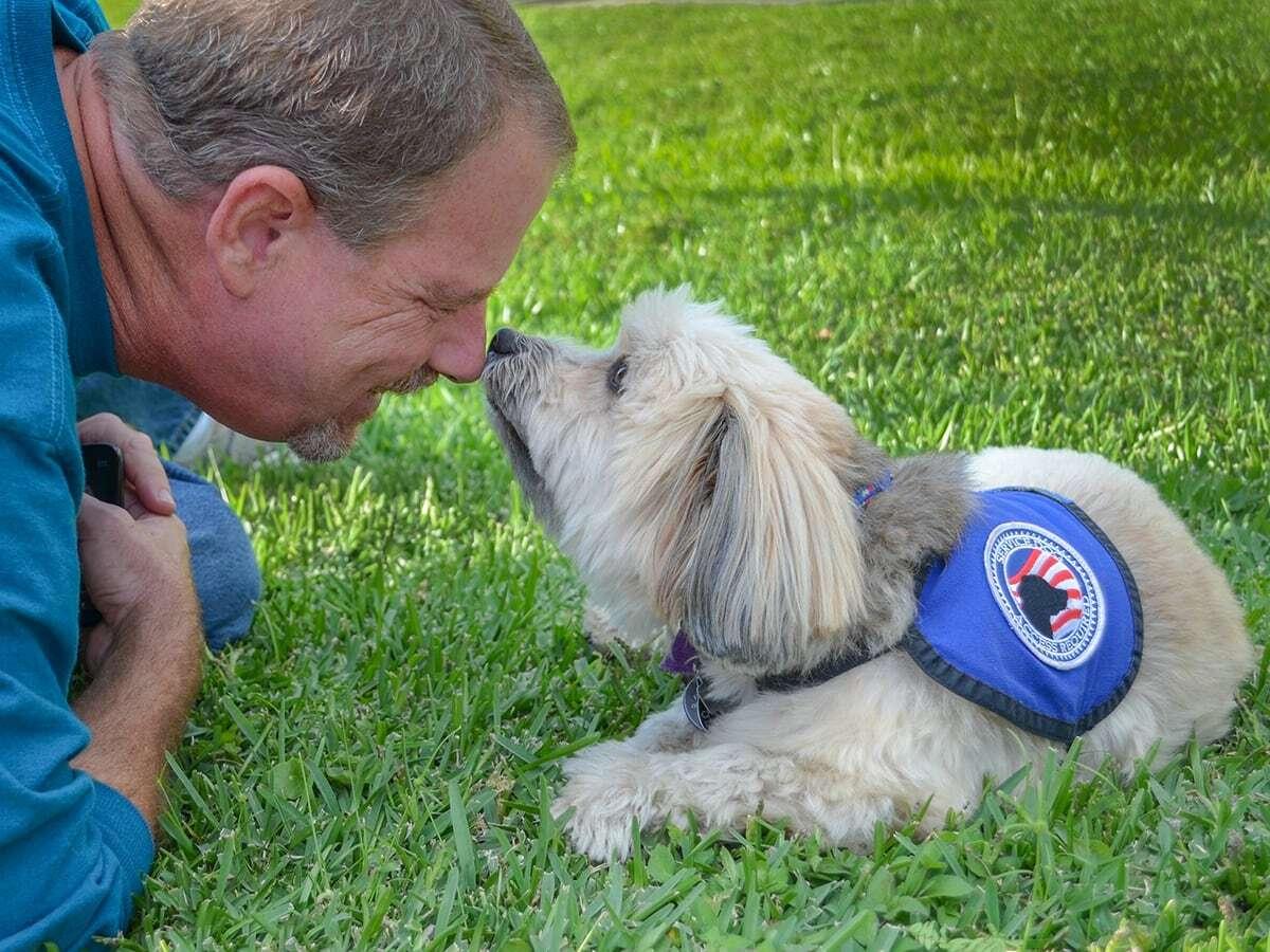 A man and a small therapy dog touch noses while lying on grass.