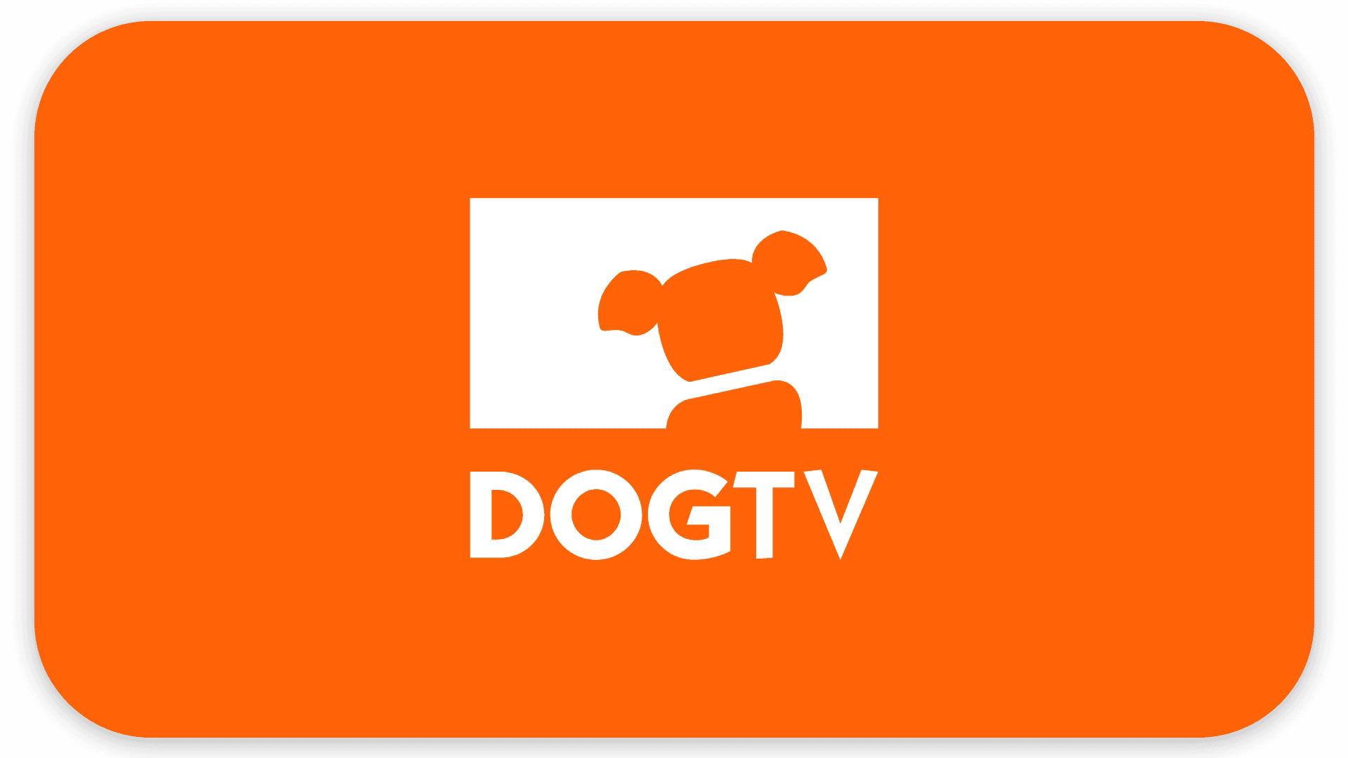 The DOGTV logo features a white abstract dog head inside a white rectangle above the word "DOGTV" on an orange background.