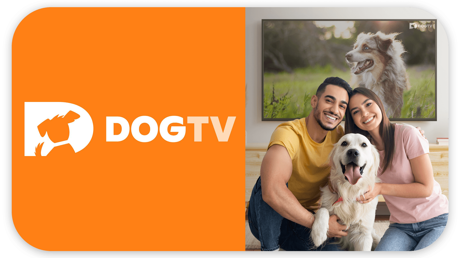 The DOGTV logo features a white abstract dog head inside a white rectangle above the word "DOGTV" on an orange background.