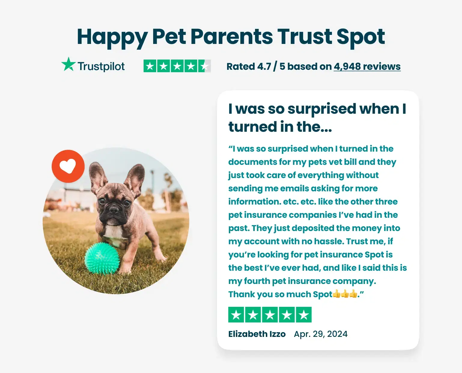 A Trustpilot review shown beside an image of a dog playing with a green ball praises Spot pet insurance.
