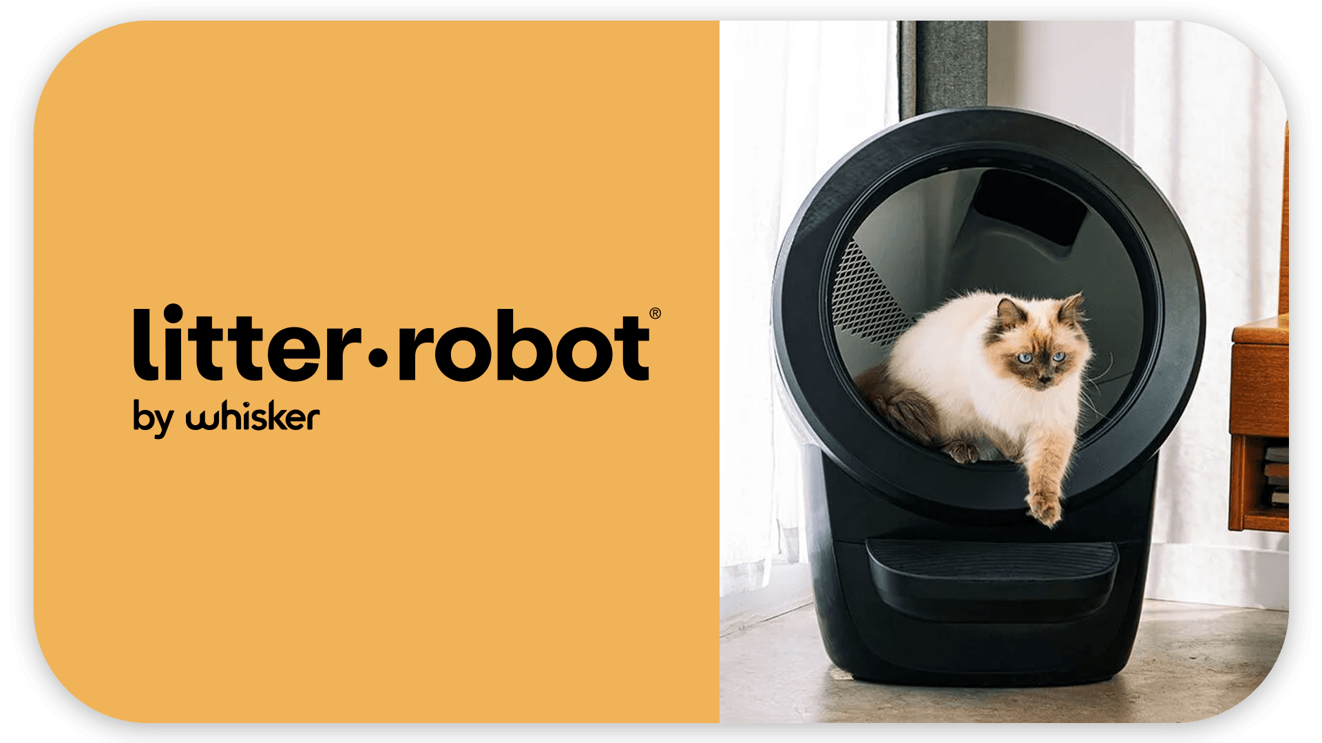 A cat steps out of a Litter-Robot next to a yellow background with "litter.robot by Whisker" text.