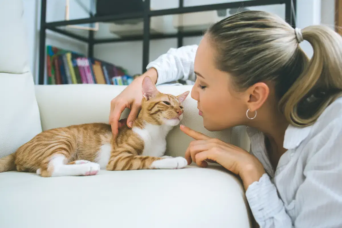 A woman with a ponytail gently pets an orange-and-white cat on a white couch.