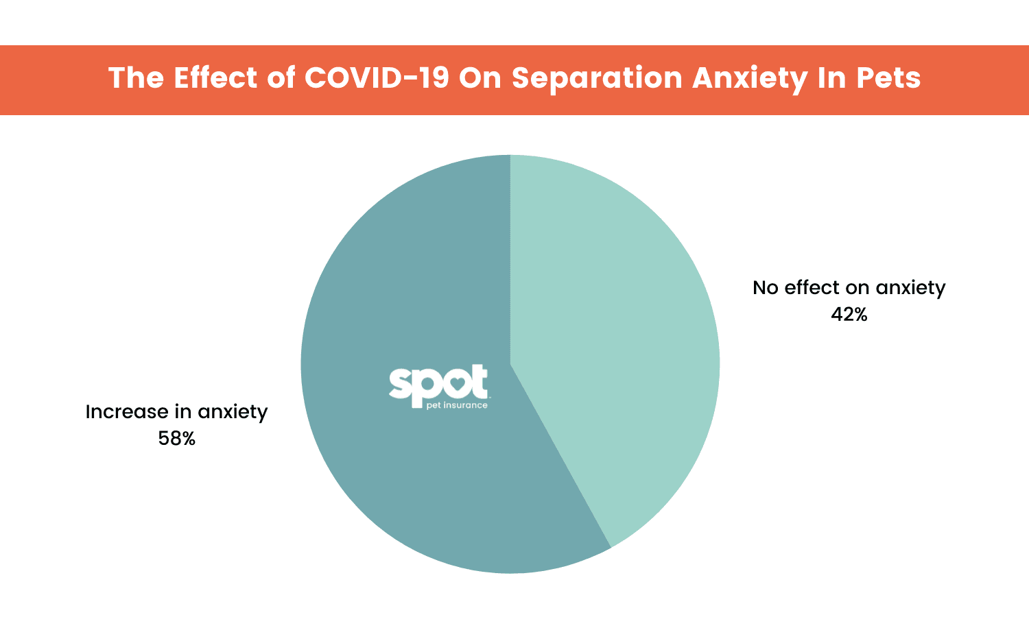 A pie chart titled "The Effect of COVID-19 On Separation Anxiety In Pets" shows a 58% increase in anxiety.