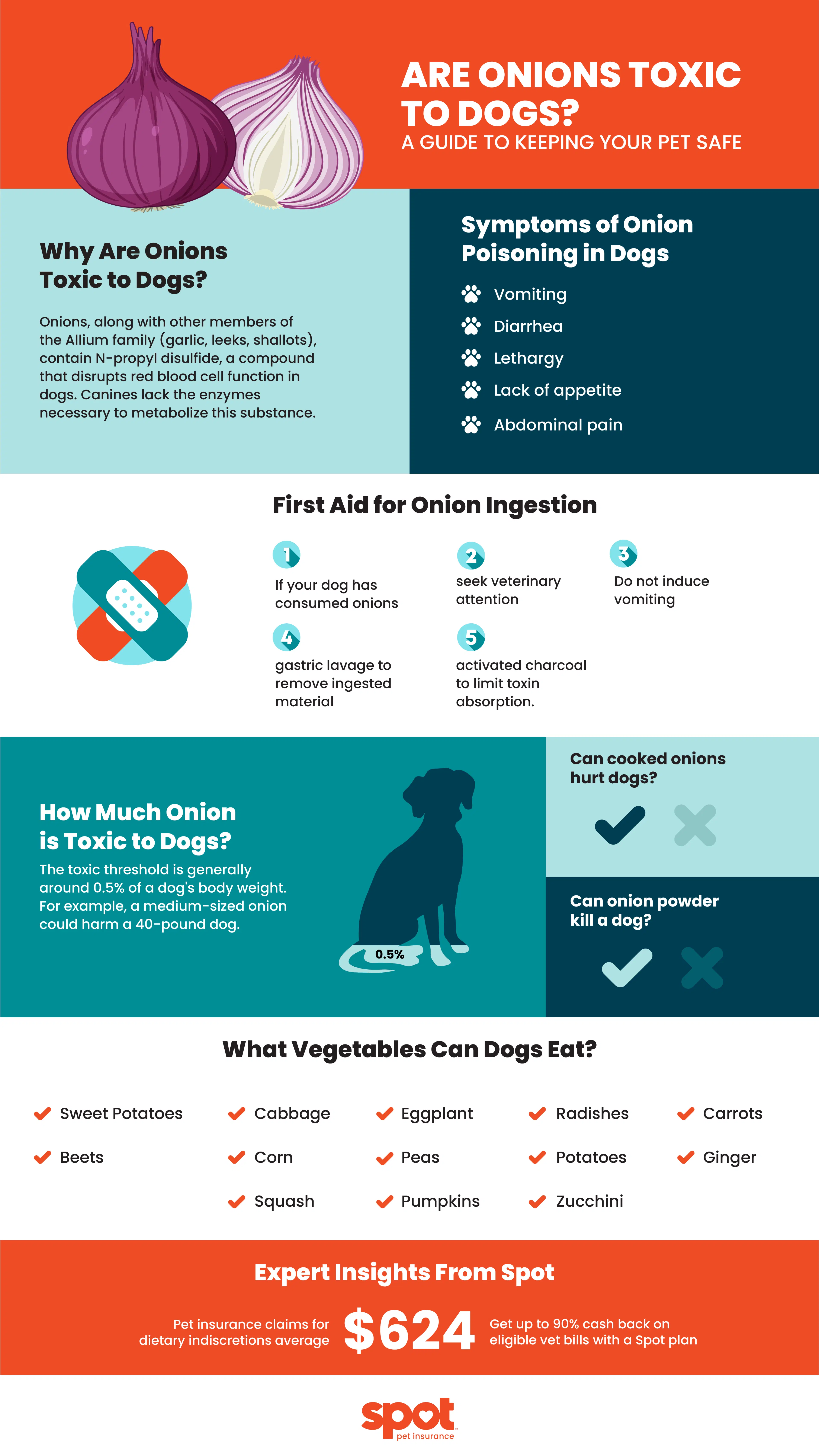 infographic detailing what could happen if dogs eat onions
