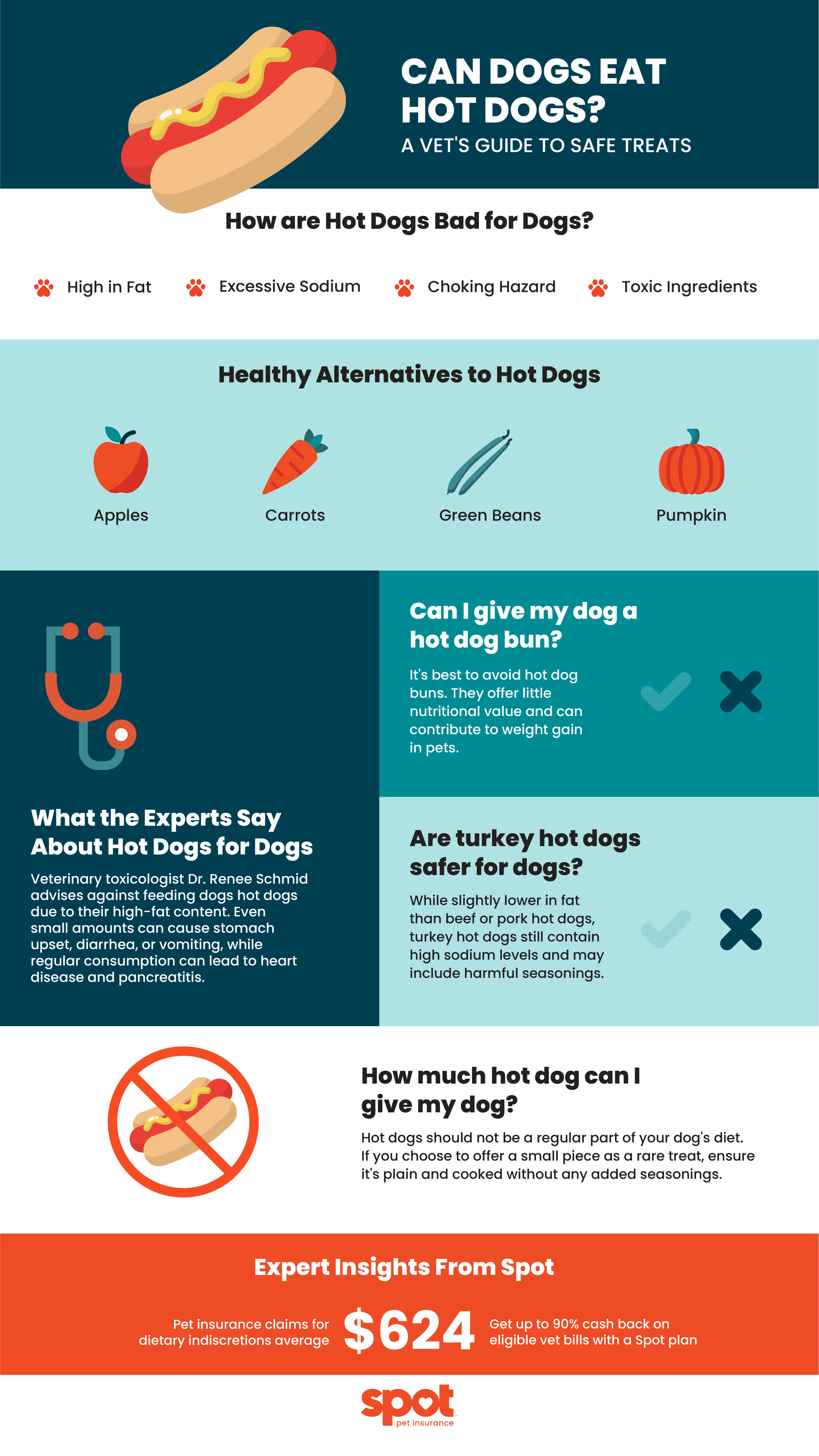 An infographic titled "Can Dogs Eat Hot Dogs? A Vet's Guide to Safe Treats" detailing the risks and alternatives.
