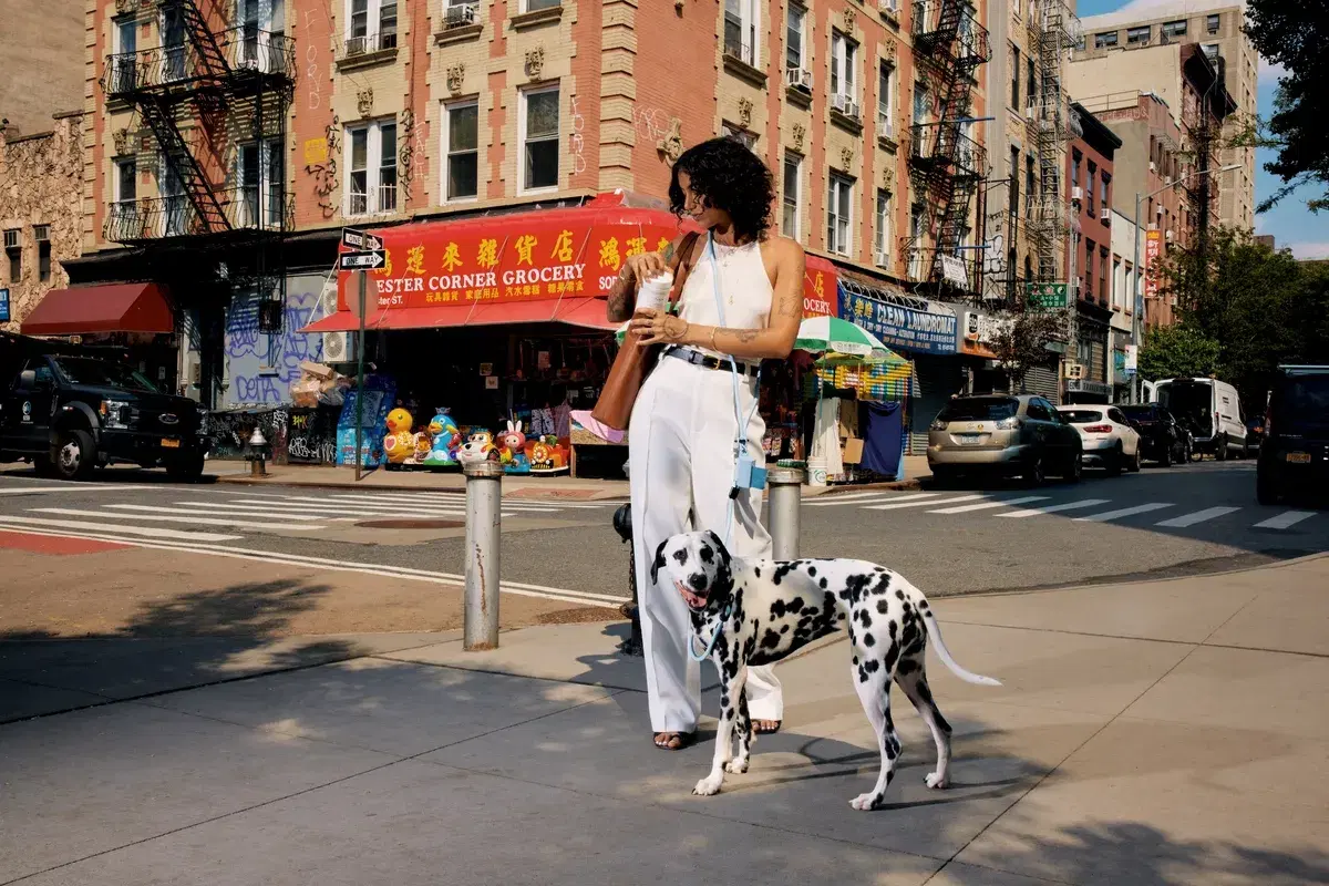 A person in a white outfit stands on a city street with a Dalmatian dog while looking at their phone.