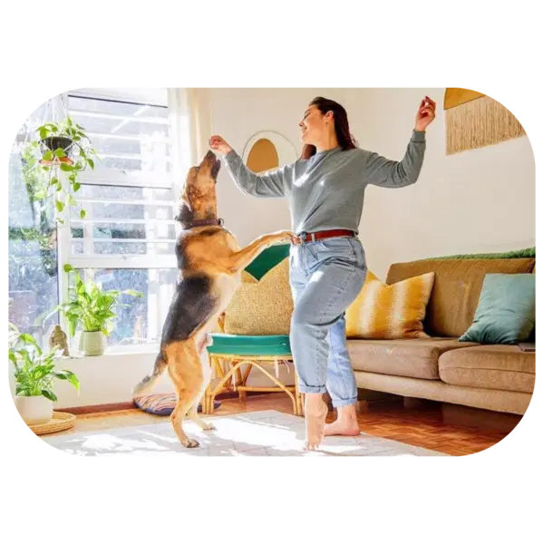 A person in a gray sweater and jeans dances with a large dog in a bright living room.