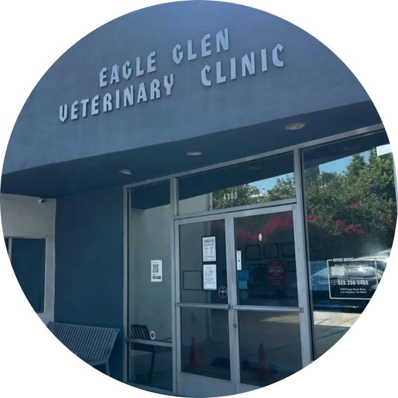 Article contributor Eagle Glen Vet Clinic
