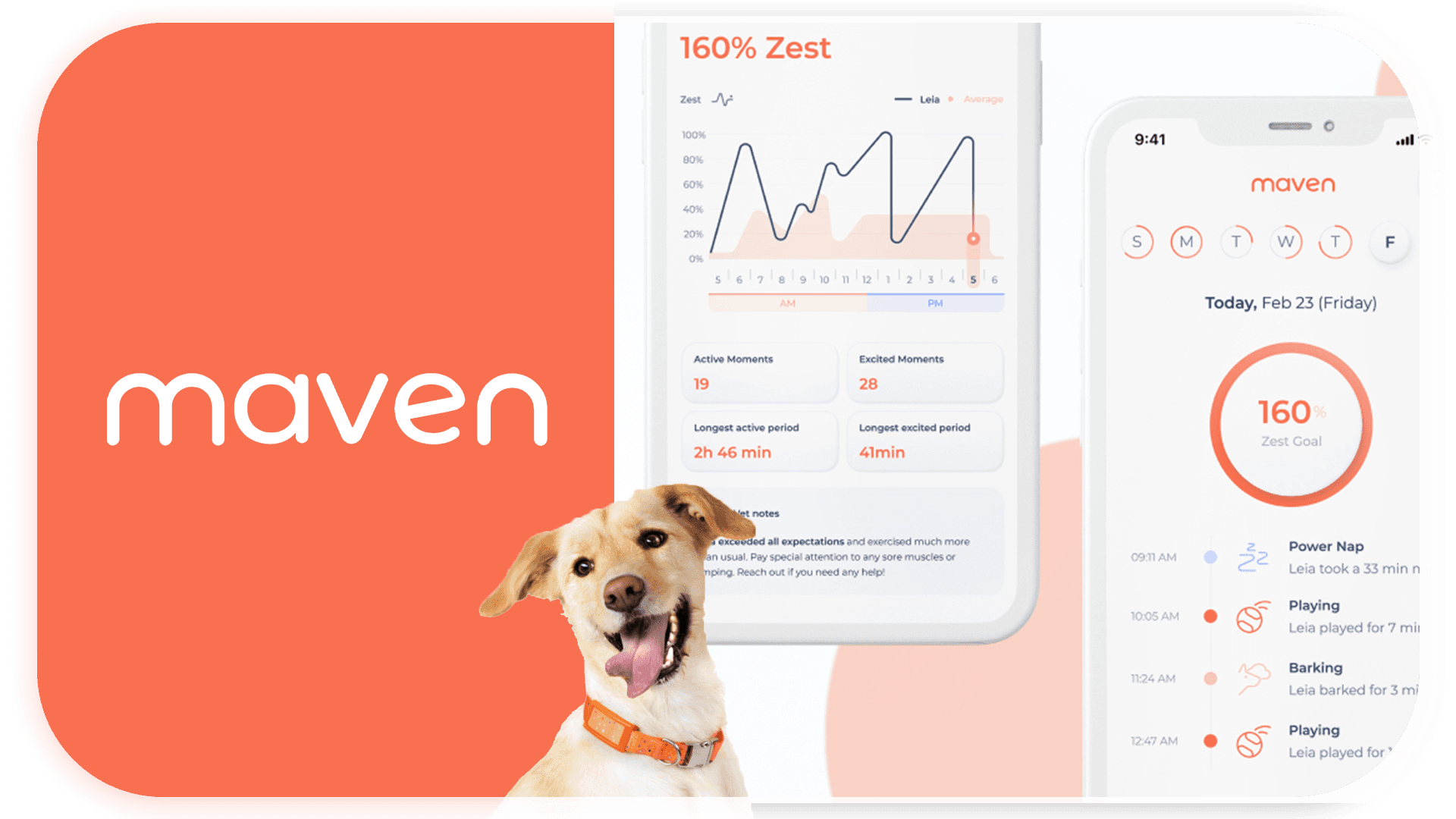 The illustration features a dog, the word "maven," and mobile interfaces with graphs.