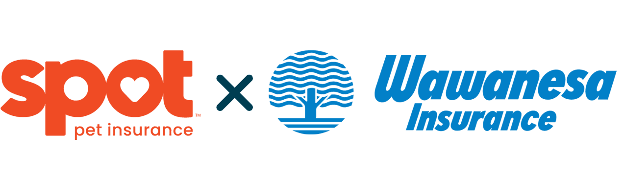 The image features the BlackBird logo on the left and the Wawanesa Insurance logo on the right. They are connected by a black 'x'. The BlackBird logo is red and the Wawanesa Insurance logo includes a blue illustration of a tree with wavy lines.
