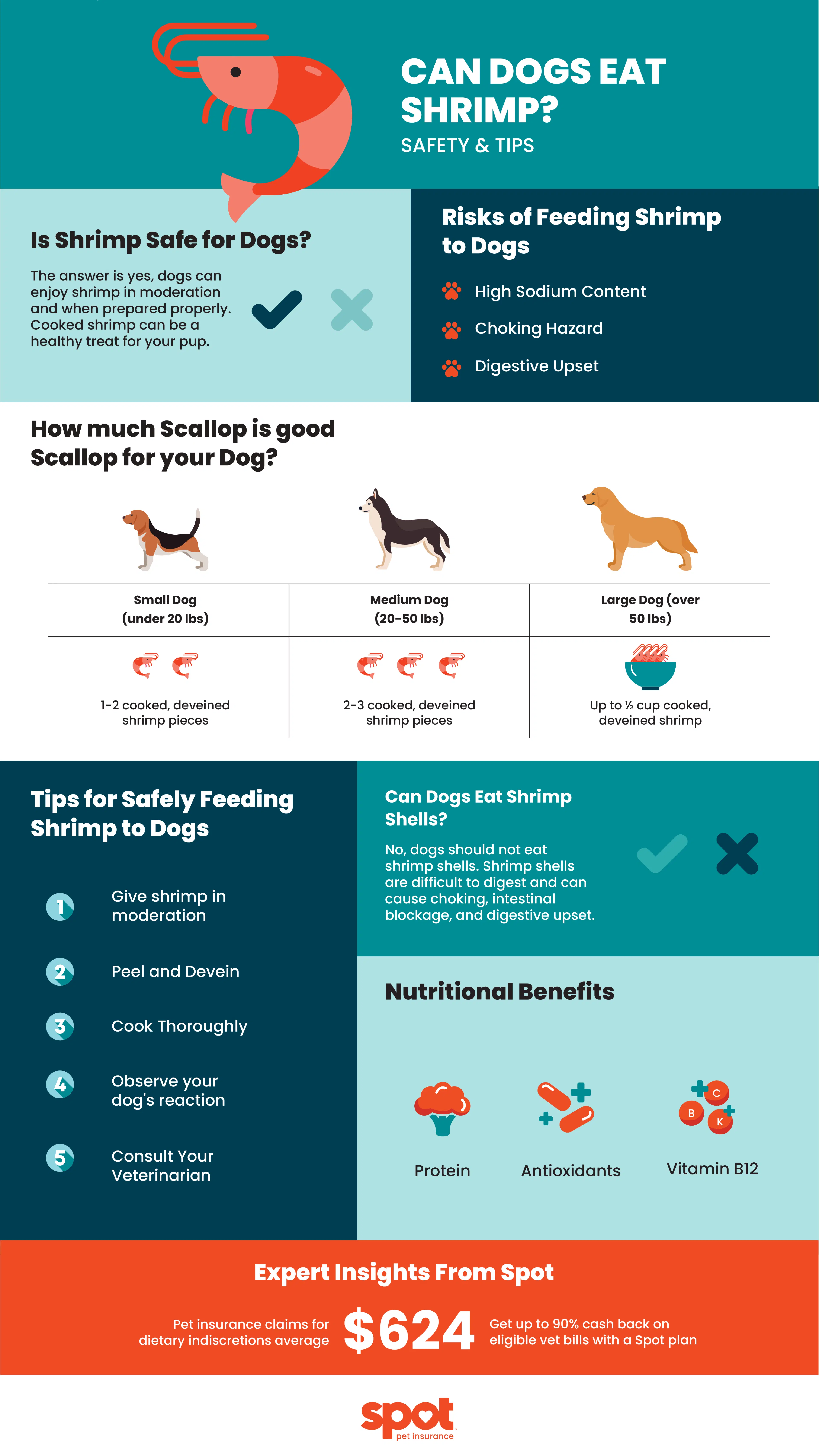 can dogs eat shrimp? This infographic explains
