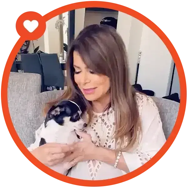 Paula Adbul with her pet contained in an orange circle with a Spot heart