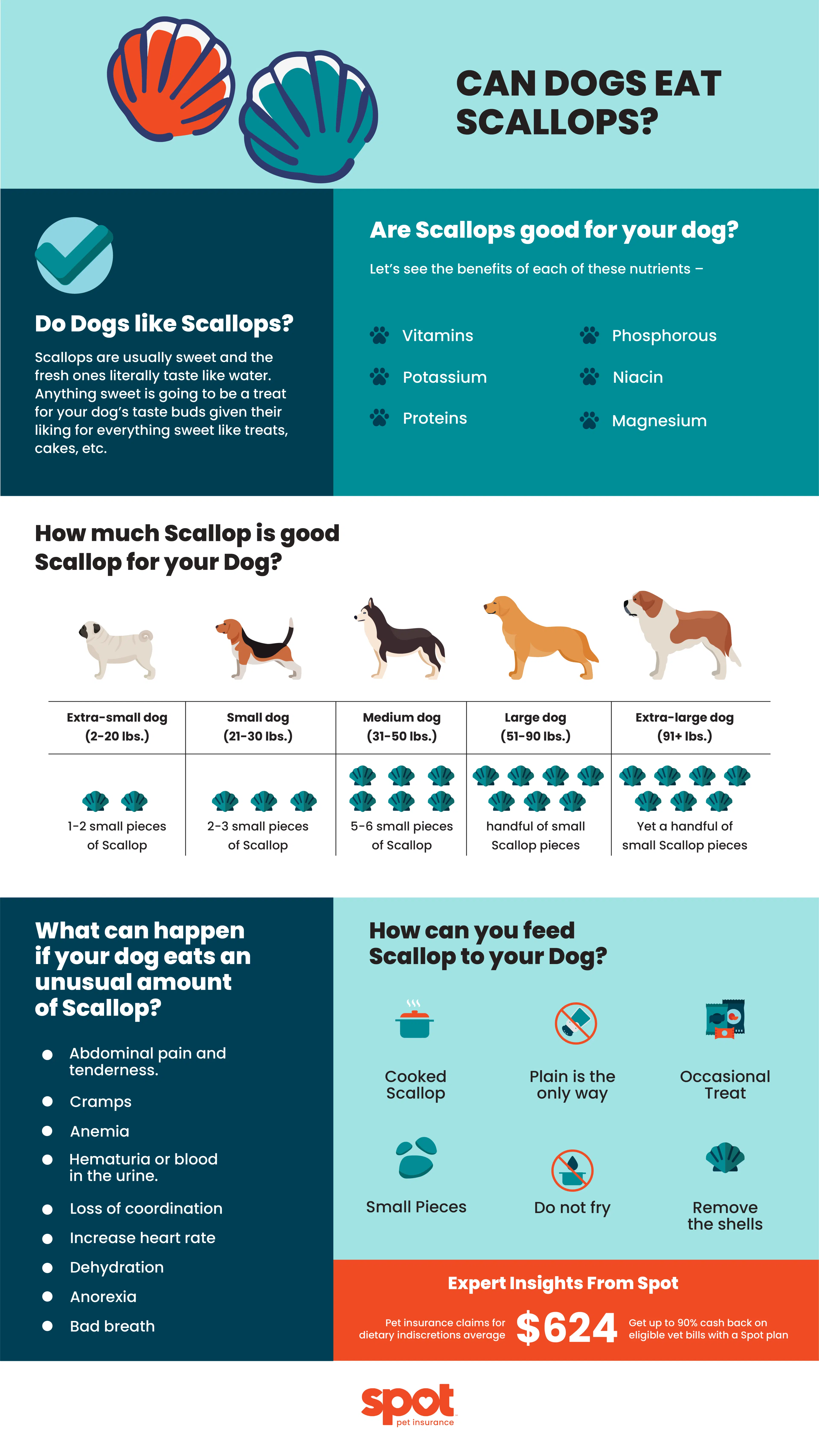 infographic detailing whether dogs can eat scallops or not