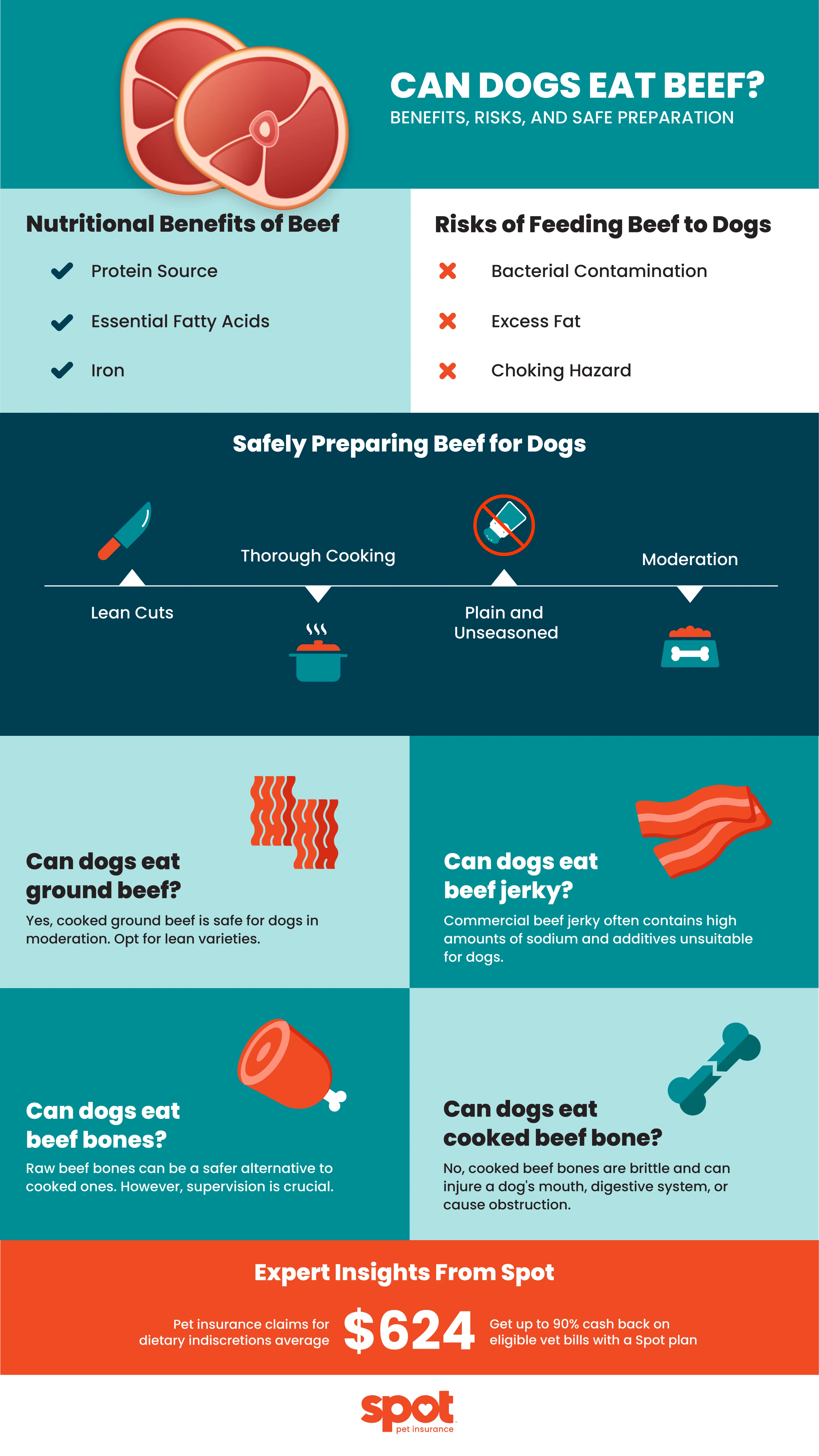 picture that details if dogs can eat beef or if it is dangerous for them