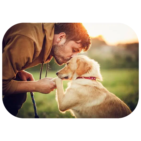 A man in a brown hoodie kisses the paw of a golden retriever wearing a red collar.