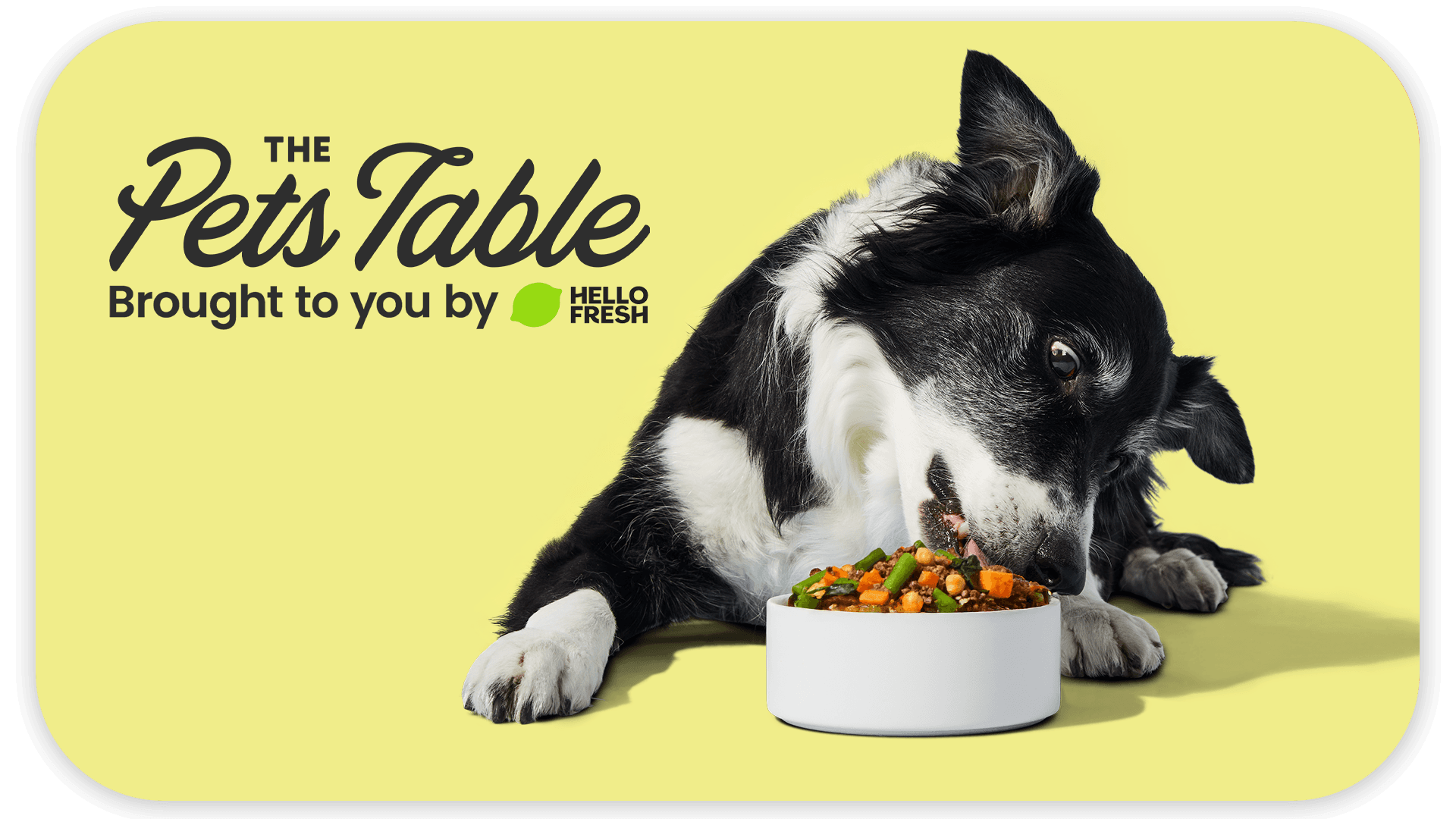 A man holding a box labeled "The Pets Table" stands with a dog in a bandana.