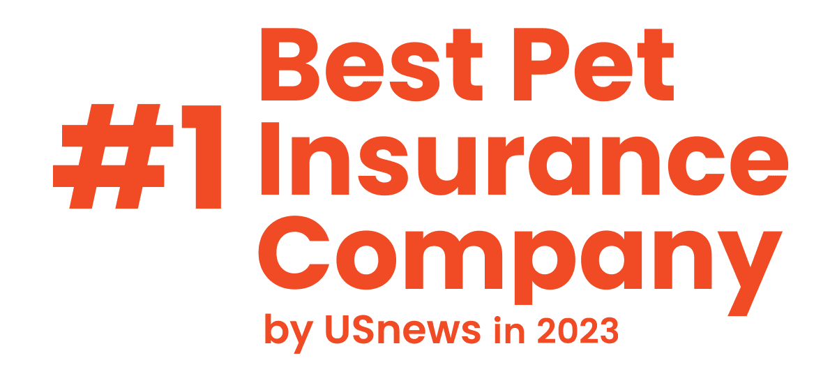 best pet insurance