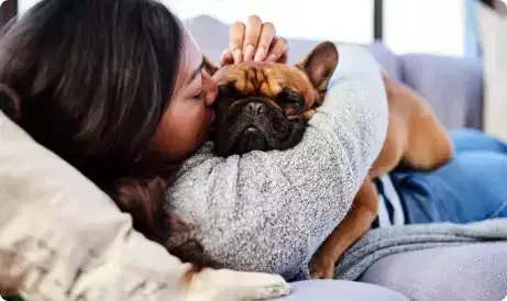 A person kisses a French Bulldog on a couch.