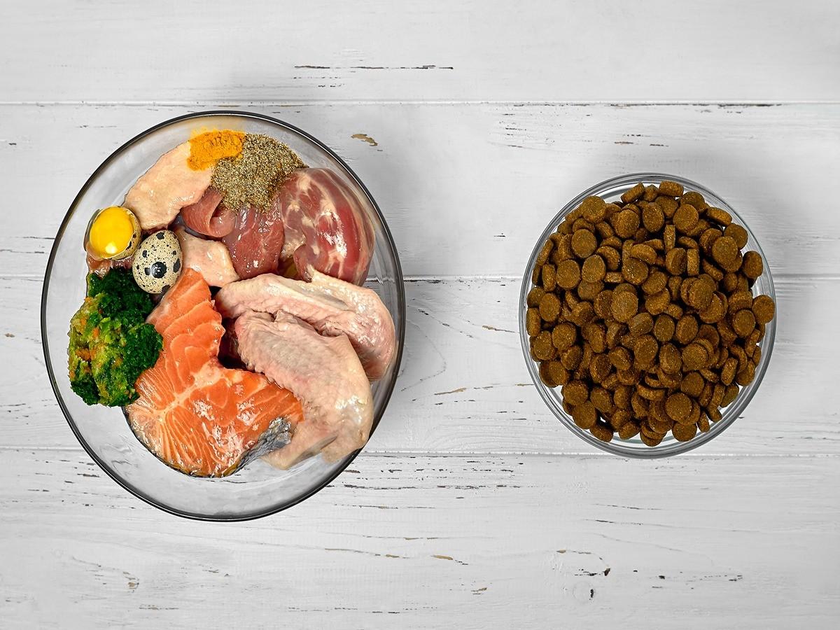 seafood for dogs