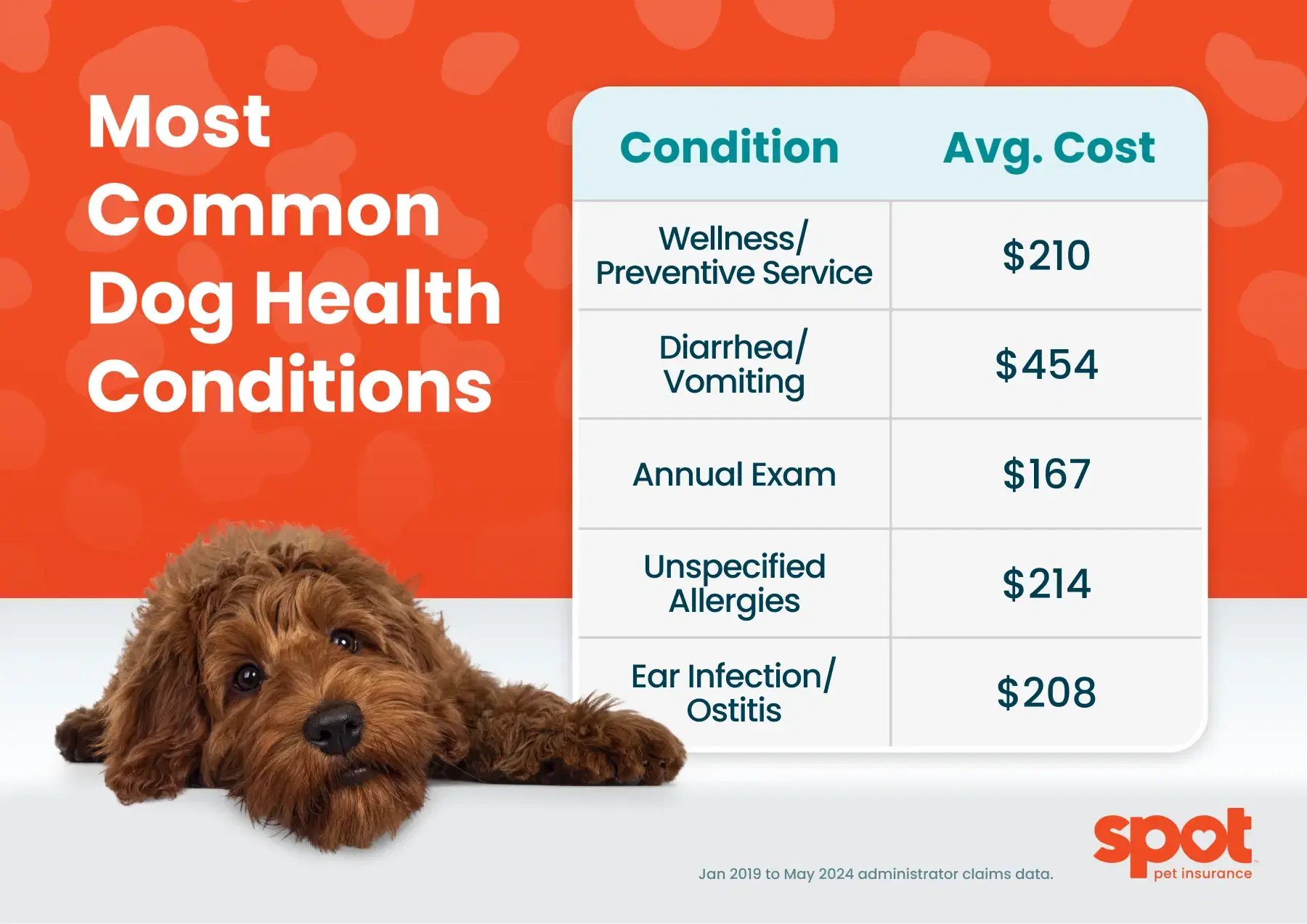 Dog Insurance Plans For Your Pet Top Rated Get A Quote Spot Pet dog-insurance-plans-for-your-pet-top-rated-get-a-quote-spot-pet