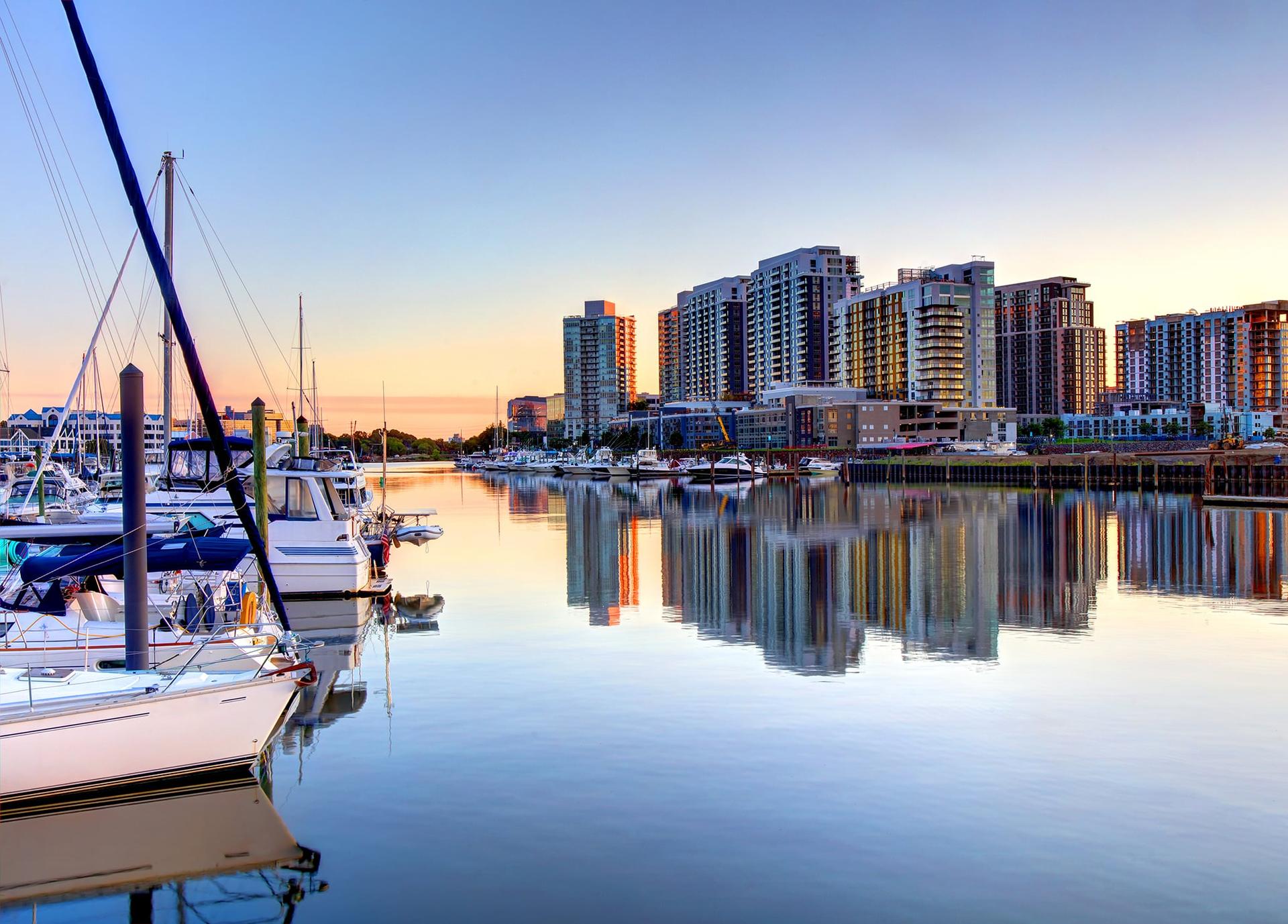 Explore Best Pet Insurance Nationwide Coverage For Dogs Cats Spot explore-best-pet-insurance-nationwide-coverage-for-dogs-cats-spot