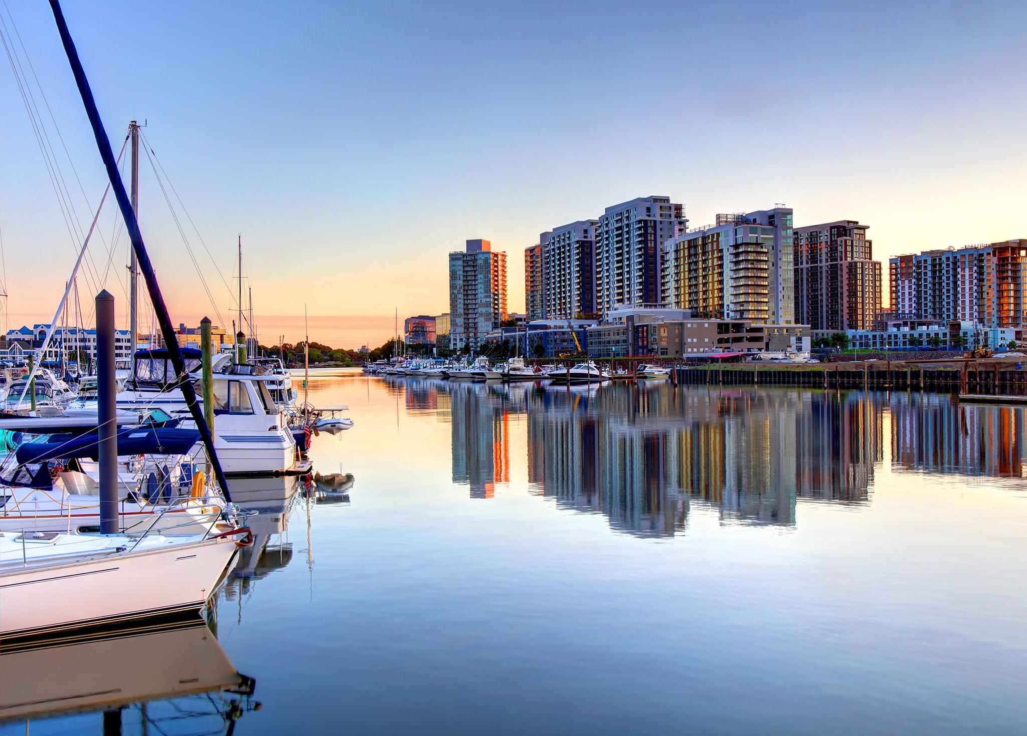 Does Spot Pet Insurance Cover Shots Does Spot Pet Insurance Cover Shots