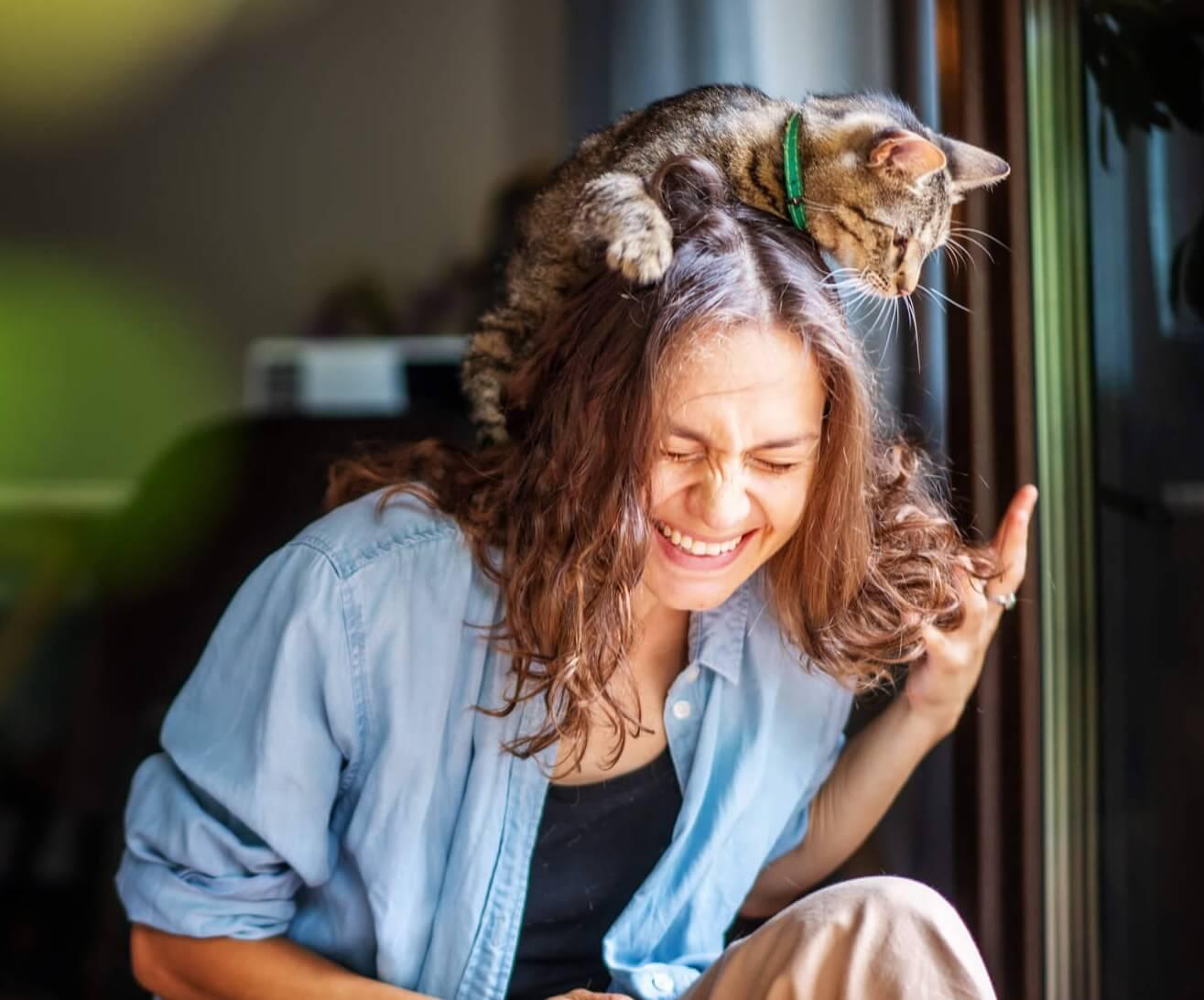 Pet Wellness Plans Spot Pet Insurance Spot pet-wellness-plans-spot-pet-insurance-spot