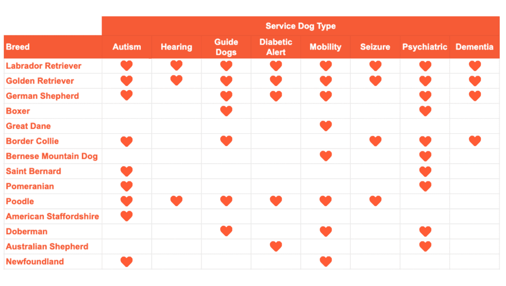 8 Service Dog Superheroes You Should Know - Service Dog Guide | Spot ...